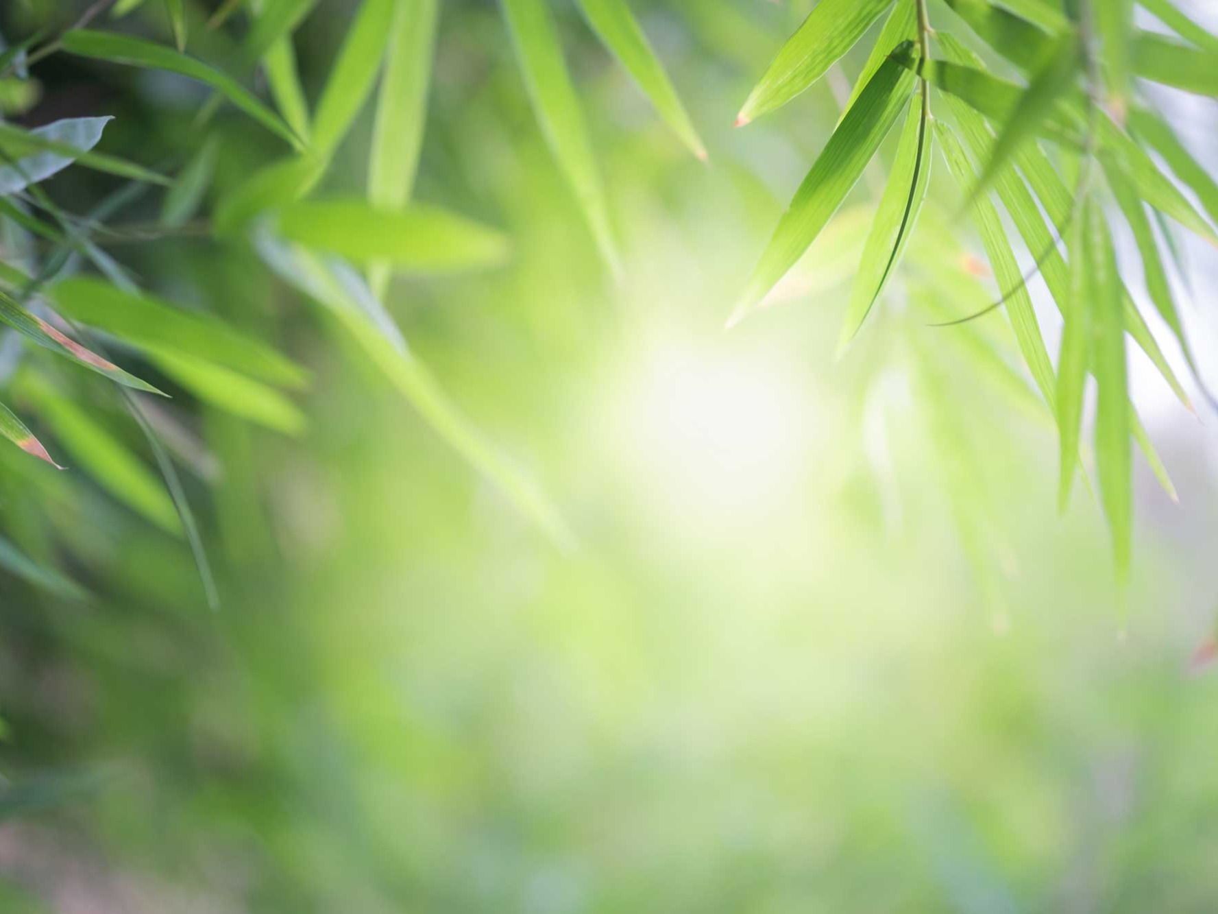 Burnout Vorbeugung - psychologische Beratung